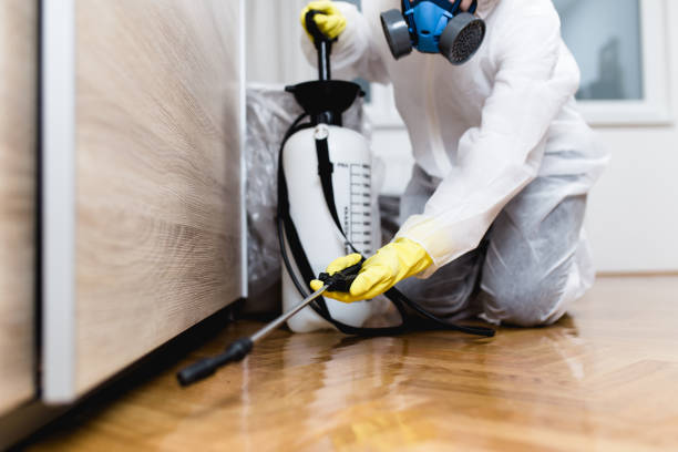 Pest Prevention Services in Luling, LA