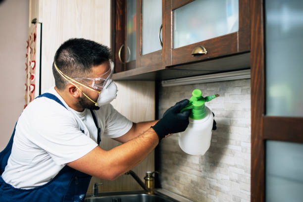 Flea Control Services in Luling, LA