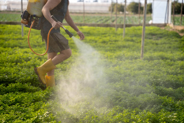 Professional Pest Control in Luling, LA
