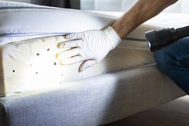 Best Pest Inspection Near Me  in Luling, LA