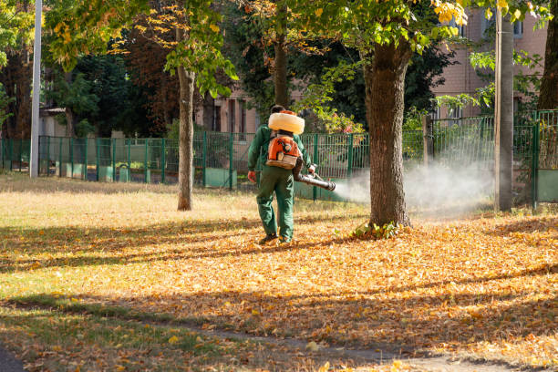 Pest Control for Restaurants in Luling, LA