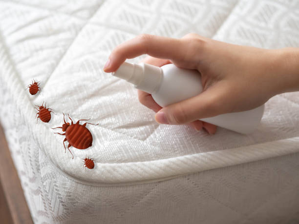Best Pest Prevention Services  in Luling, LA