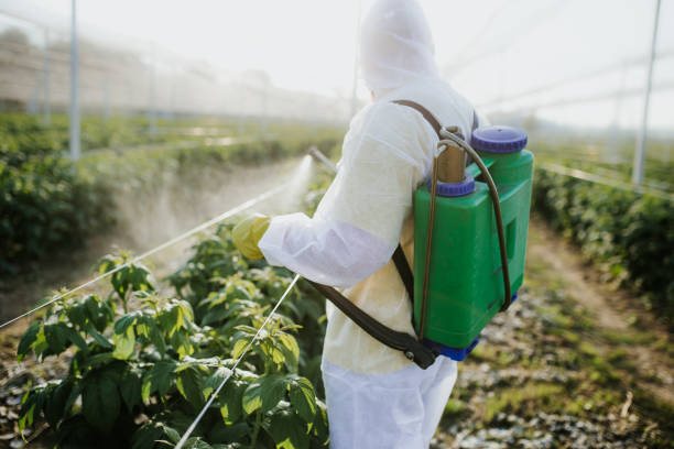 Best Affordable Pest Control Services  in Luling, LA